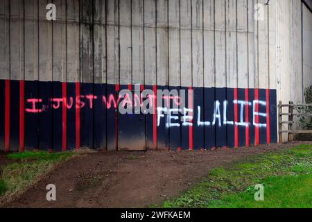 Soll das heißen, ich will mich nur lebendig fühlen? Da steht, ich will nur fühlen, dass Alie - Graffiti im Winter 2024, Januar. Stockfoto