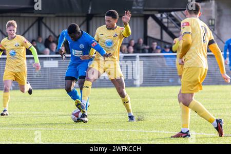 Basford FC war Gastgeber von Warrington Rylands in der NPL Premier League 2024 Stockfoto