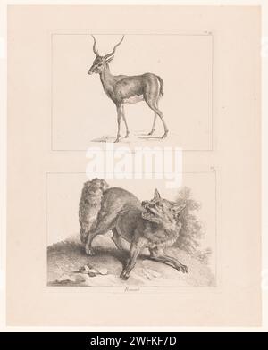 Blatt mit zwei Platten: Gazelle und Vos, Johan Eric Rehn, nach Jean-Baptiste Oudry, 1740–1745 Druck Blatt mit zwei Platten. Obere Platte: Eine Gazelle (Nr. III). Bodenplatte: Fuchs (Nr. IV). Teil einer Serie von zwölf Drucken von Tieren, die mit der Jagd in Zusammenhang stehen. Druckerei: Stockholmprint Maker: ParisAfter Design by: Francepublisher: Paris Papierätzjagd  Huftiere. fuchsjagd. Huftiere: Gazelle. Raubtiere, Raubtiere: fuchs Stockfoto