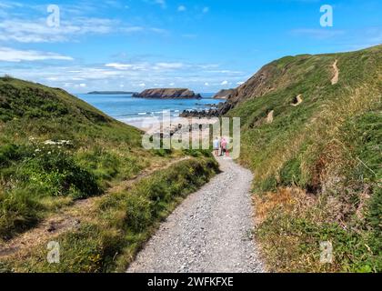 Der Weg hinunter zum wunderschönen Sandstrand von Marloes Sands in Pembrokeshire, Wales. Stockfoto