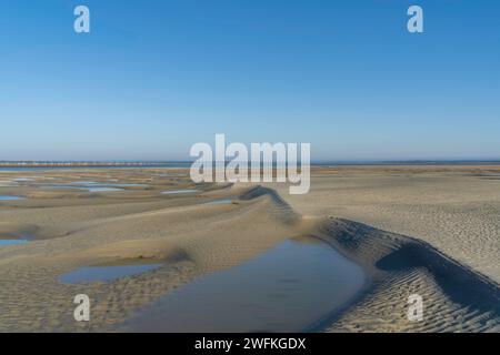Bei Ebbe wird am unberührten West Wittering Beach ein skulpturaler Sand freigelegt. Stockfoto