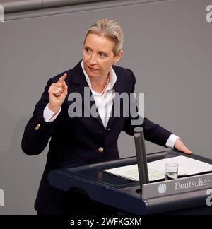 Alice Weidel , AfD, Deutschland, Berlin, Deutscher Bundestag, 150. Sitzung, Generaldebatte *** Alice Weidel , AfD, Deutschland, Berlin, Deutscher Bundestag, 150 Plenartagung, allgemeine Aussprache Stockfoto