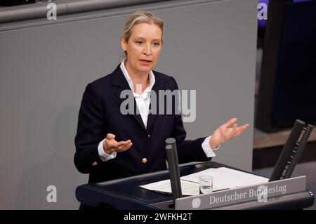 Alice Weidel , AfD, Deutschland, Berlin, Deutscher Bundestag, 150. Sitzung, Generaldebatte *** Alice Weidel , AfD, Deutschland, Berlin, Deutscher Bundestag, 150 Plenartagung, allgemeine Aussprache Stockfoto