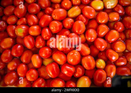 Bio-Tomaten werden gewaschen, um Tomatensauce von oben herzustellen Stockfoto