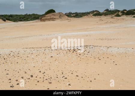 Sanddünen entlang der Coorong Lagune, mit Muschelhügel oder Muschelhügel, South Australia. Indigene Ngarrindjeri-Kultur. Stockfoto