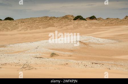 Sanddünen entlang der Coorong Lagune, mit Muschelhügel oder Muschelhügel, South Australia. Indigene Ngarrindjeri-Kultur. Stockfoto