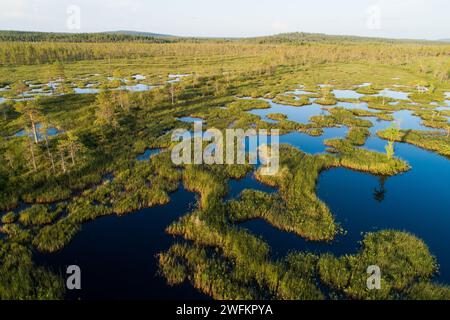 Ein Luftbild eines sommerlichen Feuchtgebiets mit Moorteichen in der Nähe von Kemijärvi, Nordfinnland Stockfoto