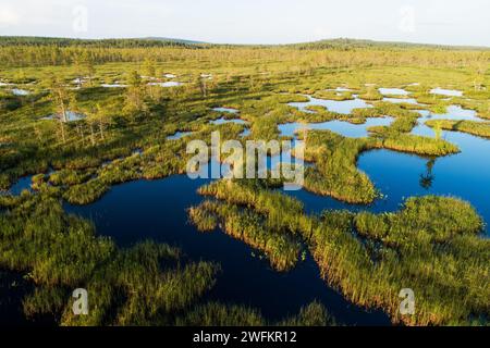 Ein Luftbild eines sommerlichen Feuchtgebiets mit Moorteichen in der Nähe von Kemijärvi, Nordfinnland Stockfoto