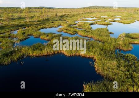 Ein Luftbild eines sommerlichen Feuchtgebiets mit Moorteichen in der Nähe von Kemijärvi, Nordfinnland Stockfoto