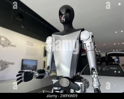 Walnut Creek, USA. November 2023. Tesla Bot humanoider Roboter ist am 28. November 2023 in einem Tesla-Geschäft in Walnut Creek, Kalifornien, ausgestellt. (Foto: Smith Collection/Gado/SIPA USA) Credit: SIPA USA/Alamy Live News Stockfoto