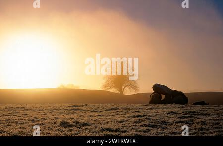 Sonnenaufgang an einem frostbedeckten Giants Ring, Belfast, Nordirland Stockfoto