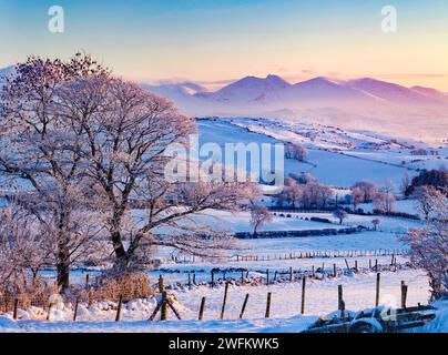 Mournes in the Snow, Co. Down. Stockfoto