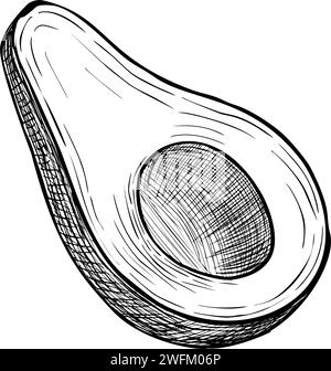 Illustration des Avocadovektors. Handgezeichnete lineare Zeichnung auf isoliertem Hintergrund. Gravur einer halben Frucht. Pflanzliche botanische Ätzung für Lebensmittelverpackungen. Skizze einer Pflanze mit schwarzer Tinte Stock Vektor