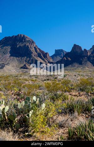 Blick auf die Chisos Mountains und das Fenster vom Ross Maxwell Scenic Drive. Big Bend National Park, Texas, USA. Stockfoto