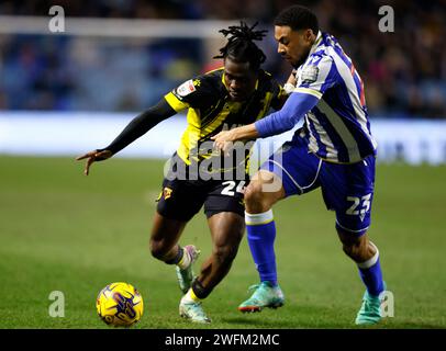 Watfords Tom Dele-Bashiru (links) und Akin Famewo von Sheffield Wednesday kämpfen um den Ball während des Sky Bet Championship-Spiels in Hillsborough, Sheffield. Bilddatum: Mittwoch, 31. Januar 2024. Stockfoto