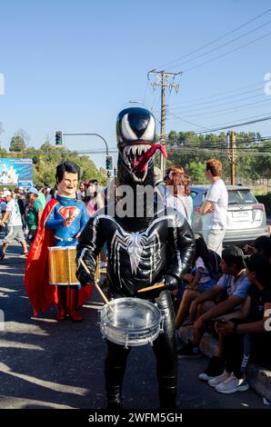 Giftkostüm marschierte während der Straßenparade des Talcahuano-Karnevals, der im Januar 2024 stattfand Stockfoto