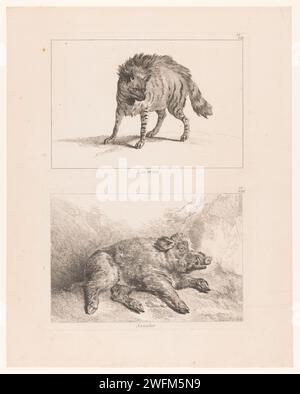 Blatt mit zwei Platten: Lynx und Wildschwein, Johan Eric Rehn, nach Jean-Baptiste Oudry, 1740–1745 Druck Blatt mit zwei Platten. Obere Platte: Ein Luchs (Nr. VII). Bodenplatte: Ein Wildschwein (Nr. VIII). Teil einer Serie von zwölf Drucken von Tieren, die mit der Jagd in Zusammenhang stehen. Druckerei: Stockholmprint Maker: Parispublisher: Paris Papier ätzend Raubtiere, Raubtiere: lynx. Huftiere: Eber. Wildschweinjagd. Jagd  Raubtiere (Fuchs, Löwe) Stockfoto