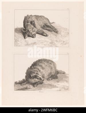 Blatt mit zwei Tellern: Wildschwein und das, Johan Eric Rehn, nach Jean-Baptiste Oudry, 1740–1745 Druck Blatt mit zwei Tellern. Oberplatte: Ein Wildschwein (Nr. V). Bodenplatte: Ein Kabelbinder (Nr. VI). Teil einer Serie von zwölf Drucken von Tieren, die mit der Jagd in Zusammenhang stehen. Druckerei: Stockholmprint Maker: Parispublisher: Paris Papierätzung / Gravur Huftiere: Eber. Raubtiere, Raubtiere: dachs. Wildschweinjagd. Jagen  andere Säugetiere Stockfoto