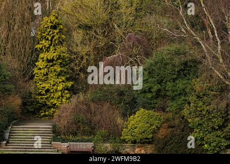 Ruhige Gartenszene mit üppigem Laub und Steintreppen, die durch eine ruhige Parklandschaft führen. Stockfoto