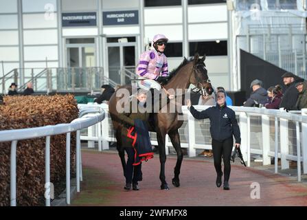 Rennen 18:00 Uhr das Unibet Hürdenrennen (das Internationale Hürdenrennen) Rubaud, geritten von Harry Cobden auf dem Weg zum Start. Pferderennen in Cheltenh Stockfoto