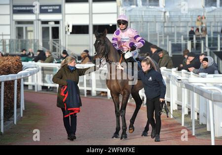 Rennen 18:00 Uhr das Unibet Hürdenrennen (das Internationale Hürdenrennen) Rubaud, geritten von Harry Cobden auf dem Weg zum Start. Pferderennen in Cheltenh Stockfoto