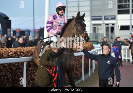 Rennen 18:00 Uhr das Unibet Hürdenrennen (das Internationale Hürdenrennen) Rubaud, geritten von Harry Cobden auf dem Weg zum Start. Pferderennen in Cheltenh Stockfoto