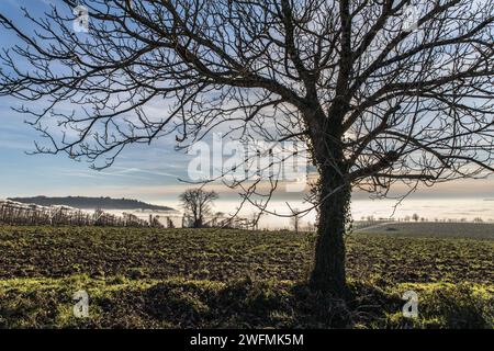 La Rochette - Vue hivernale de la vallée de la Vézère Stockfoto