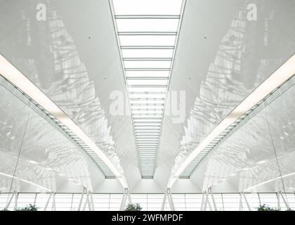 Dach einer großen weißen Halle. Symmetrischer Weitwinkelblick an weißer Decke mit Glasfenstern. Stockfoto