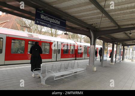 Eine S-Bahn der Linie S1 in Richtung Poppenbüttel fährt in die Haltestelle Wellingsbüttel hinein. Wellingsbüttel Hamburg *** eine S-Bahn der Linie S1 in Richtung Poppenbüttel fährt bis zur Haltestelle Wellingsbüttel Hamburg Stockfoto