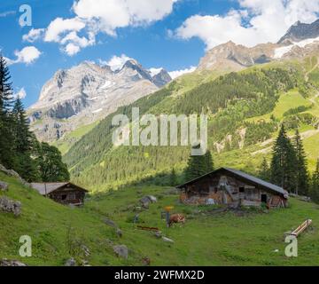 Die Jungfrau paek in den Berner alpen über den alpen Wiesen und Chalets im Hinteren Lauterbrunnental. Stockfoto