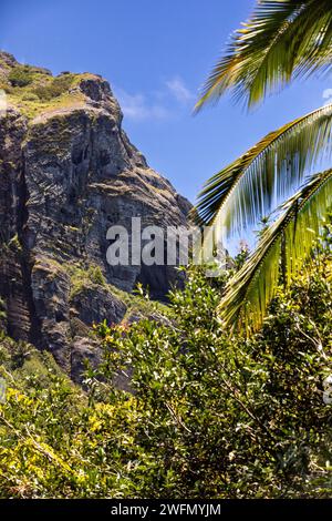 Christian's Cave auf Pitcairn Island im Südpazifik Stockfoto