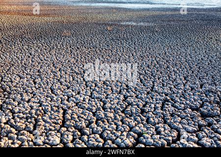 Degradierter Landhintergrund. Trockene zerrissene Erde in der Wüste. Konzept der globalen Erwärmung und des Klimawandels Stockfoto