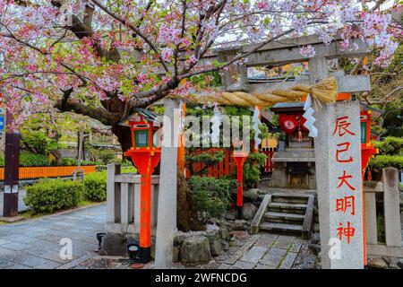 Kyoto, Japan - 6. April 2023: Tatsumi Daimyojin-Schrein in der Nähe der Tatsumu-Bashi-Brücke im Stadtteil Gion Stockfoto