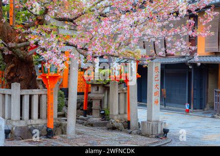 Kyoto, Japan - 6. April 2023: Tatsumi Daimyojin-Schrein in der Nähe der Tatsumu-Bashi-Brücke im Stadtteil Gion Stockfoto