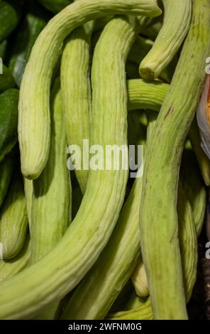 Frisch geerntete rohe indische armenische Gurken oder Cucumis Melo im Gemüseladen zum Verkauf Stockfoto