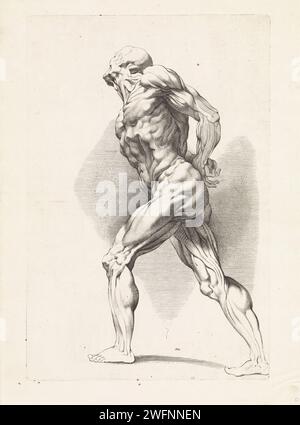 Anatomische Studie eines stehenden Mannes, Paulus Pontius, nach Peter Paul Rubens, 1616 - 1657 Druck Antwerpener Papier Gravur Teile des menschlichen Körpers (Skelett ausgenommen) Stockfoto
