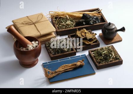 Einige Holztabletts mit vielen Arten von Kräutern, ausgestellt mit irdenem Topf, Medizinpackungen, alten chinesischen Medizinbüchern, Mörser und Pistill. Ch Stockfoto