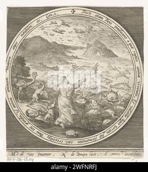 Fünfter Tag der Schöpfung: Gott erschafft Fische und Vögel, Nicolaes de Bruyn, nach Maerten de Vos, 1581 - 1656 Drucken Fünfter Tag der Schöpfung: Gott erschafft Fische und Vögel, damit das Wasser von den Lebewesen wimmelt und Vögel im himmlischen Gewölbe fliegen. In Medaillon mit einem lateinischen Bibeltext aus 1. Mose, innerhalb eines rechteckigen Rahmens. Niederlande Papierstich Schöpfung von Vögeln und Fischen Stockfoto