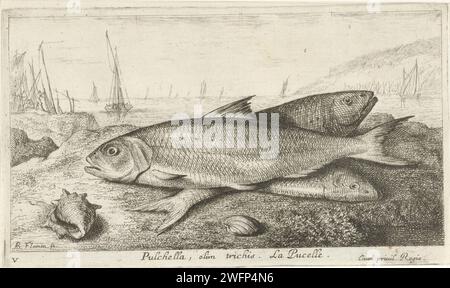 Three Fish on the Beach, Albert Flamen, 1664 Printdrucker: ParisAfter eigenes Design von: Parispublisher: ParisFrance Paper Etching Fishes Stockfoto