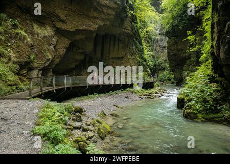 Garganta de Kakueta, Sainte-Engrâce, región de Aquitania, departamento de Pirineos Atlánticos, Francia Stockfoto