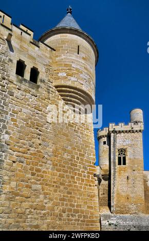 Palacio Real (Palast der Könige) an der Plaza de los Teobaldos in Olite, Provinz Almeria, Navarra, Spanien Stockfoto