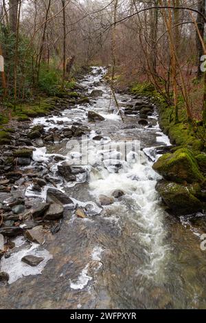 Ein Spaziergang auf den Moness Burn an einem frostigen Wintertag, die Birks of Aberfeldy, Perthshire, Schottland Stockfoto