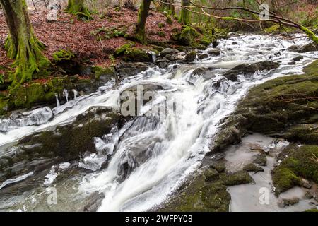 Ein Spaziergang auf den Moness Burn an einem frostigen Wintertag, die Birks of Aberfeldy, Perthshire, Schottland Stockfoto