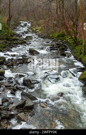 Ein Spaziergang auf den Moness Burn an einem frostigen Wintertag, die Birks of Aberfeldy, Perthshire, Schottland Stockfoto