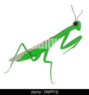 Mantis isoliert auf weißem Hintergrund. Hochwertige 3D-Illustration Stockfoto