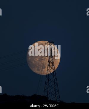 Vollmond, der zur blauen Stunde hinter dem Hügel aufsteigt und die Silhouette der Laternenpfahl bildet Stockfoto