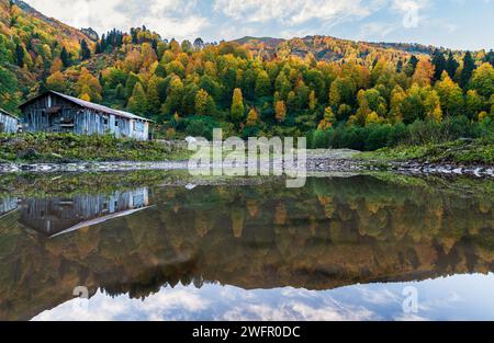 Bäume und Holzhäuser rund um Borcka Karagöl im Herbst. Die Kombination von Gelb, Orange, Grün und Blau in der Natur. Geeignet für Natur und Urlaub Stockfoto