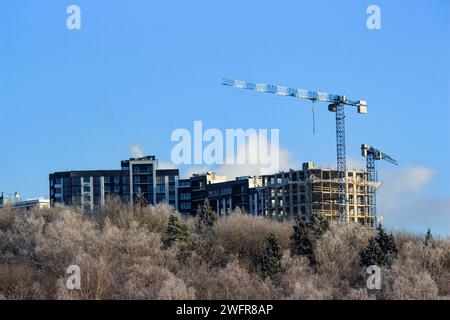 Neue Gebäude, die über den Baumkronen ragen, Stadtwachstum Stockfoto