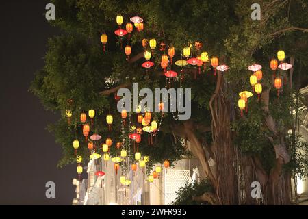 Rote Laternen und Lichter schaffen eine festliche Atmosphäre in Xiamen City, südöstlicher chinesischer Provinz Fujian, 29. Januar 2024. Stockfoto