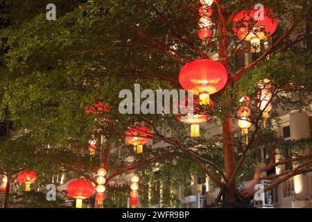 Rote Laternen und Lichter schaffen eine festliche Atmosphäre in Xiamen City, südöstlicher chinesischer Provinz Fujian, 29. Januar 2024. Stockfoto